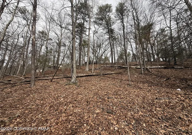 Photo 6 of Land for sale at Hull Rd 86, East Stroudsburg, PA 18302 | MLS# PM-139836 | Listing updated on 2026-04-16