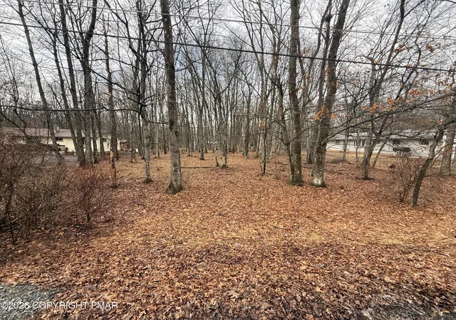 Photo 3 of Land for sale at 203 Foothill Rd, Albrightsville, PA 18210 | MLS# PM-139933 | Listing updated on 2026-09-10