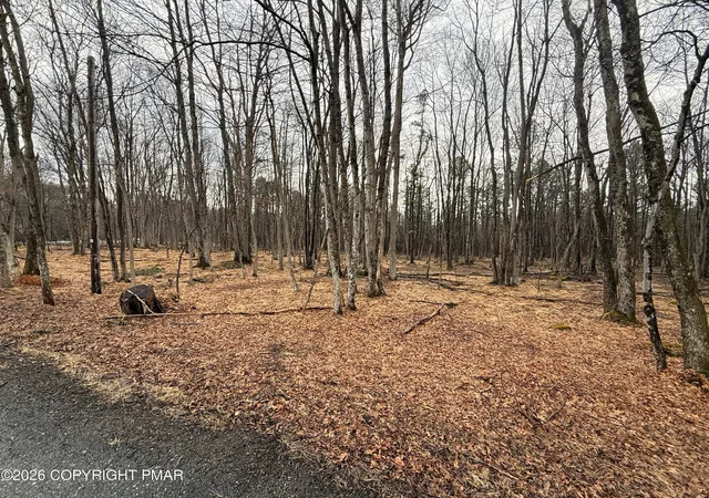 Photo 3 of Sale Pending at Masters Trl, Albrightsville, PA 18210 | MLS# PM-139940 | Listing updated on 2026-10-03