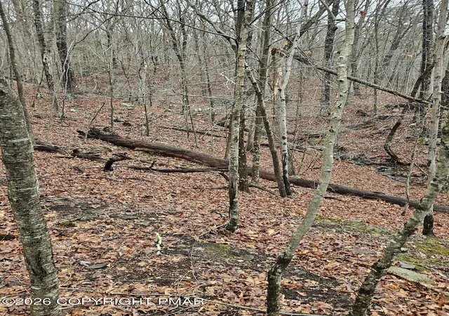 Photo 3 of Land for sale at 60 & 61 Gallahad Pass 60 61 Rd, East Stroudsburg, PA 18302 | MLS# PM-140083 | Listing updated on 2026-04-06