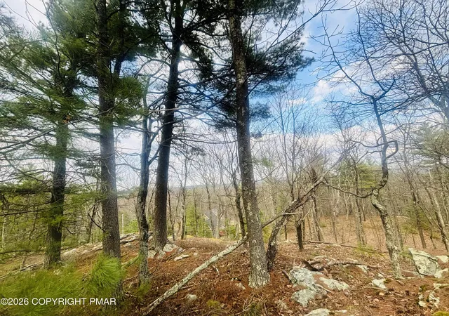 Homes for sale in Dingmans Ferry, PA | 111 Country Club Rd, Dingmans Ferry, PA 18328 | MLS# PM-140170