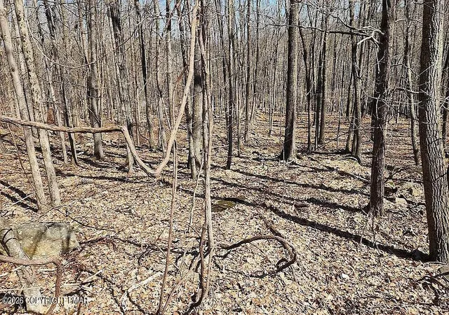 Photo 1 of Land for sale at Eagle Pass 711, Swiftwater, PA 18370 | MLS# PM-140238 | Listing updated on 2026-06-04