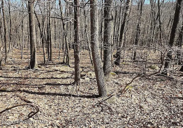 Photo 2 of Land for sale at Eagle Pass 711, Swiftwater, PA 18370 | MLS# PM-140238 | Listing updated on 2026-06-04