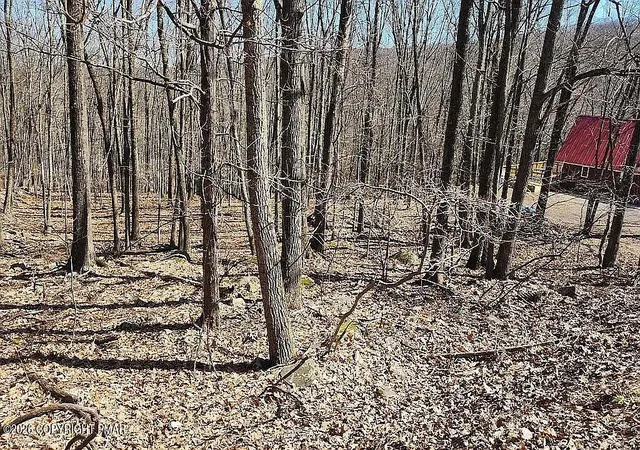Photo 3 of Land for sale at Eagle Pass 711, Swiftwater, PA 18370 | MLS# PM-140238 | Listing updated on 2026-06-04