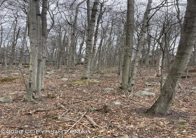 Photo 4 of Land for sale at 9308 - 9310 Fairmount Way, Tobyhanna, PA 18466 | MLS# PM-140366 | Listing updated on 2026-04-18