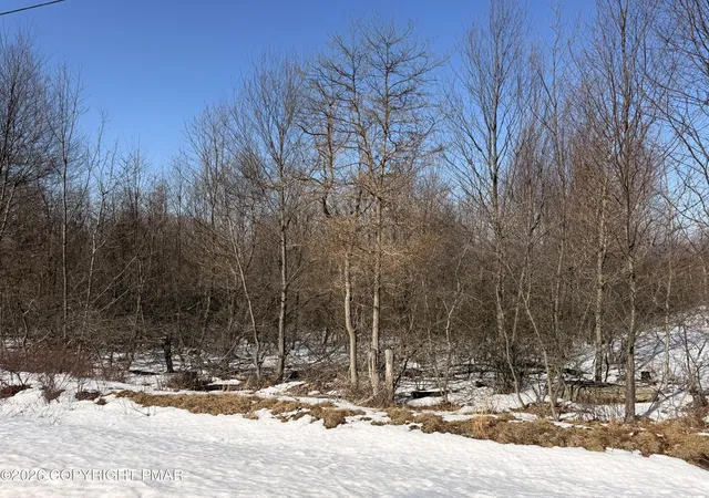 Photo 3 of Land for sale at Buttonbush Ln, Hazle Township, PA 18202 | MLS# PM-140548 | Listing updated on 2026-06-16