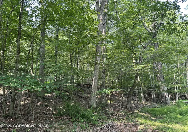 Photo 3 of Land for sale at Private Dr 1c, Henryville, PA 18332 | MLS# PM-140560 | Listing updated on 2026-04-22