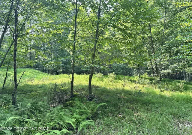 Photo 3 of Land for sale at Private Dr 2c, Henryville, PA 18332 | MLS# PM-140561 | Listing updated on 2026-04-22