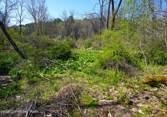 Photo 3 of Land for sale at Greenzweig Rd, Kunkletown, PA 18058 | MLS# PM-140659 | Listing updated on 2026-07-13