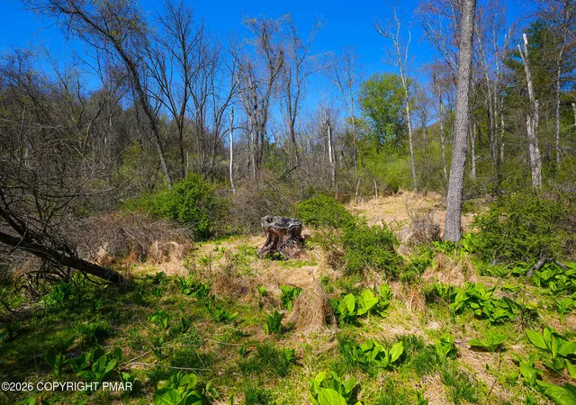 Photo 4 of Land for sale at Greenzweig Rd, Kunkletown, PA 18058 | MLS# PM-140659 | Listing updated on 2026-07-13