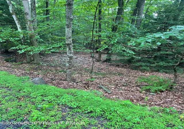 2nd image of 511 N Shore Dr & Linden Dr, Albrightsville, PA 18210 | MLS# PM-140771