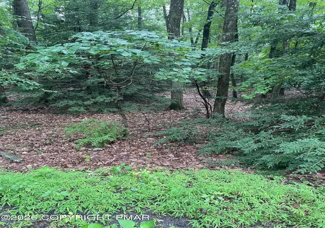 4th image of 511 N Shore Dr & Linden Dr, Albrightsville, PA 18210 | MLS# PM-140771
