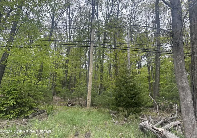 Photo 2 of Land for sale at Us Rt 611 2, Swiftwater, PA 18370 | MLS# PM-141093 | Listing updated on 2026-05-15