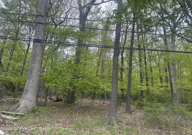 Photo 3 of Land for sale at Us Rt 611 2, Swiftwater, PA 18370 | MLS# PM-141093 | Listing updated on 2026-05-15