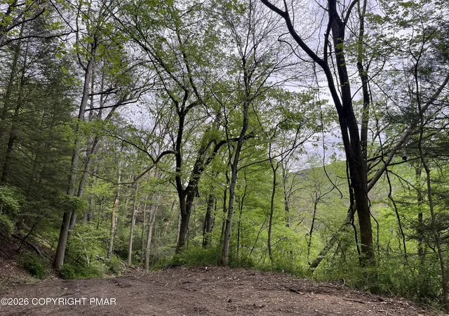 Photo 4 of Land for sale at Lr 45052 Lower Smith Gap Rd, Kunkletown, PA 18058 | MLS# PM-141391 | Listing updated on 2026-09-30