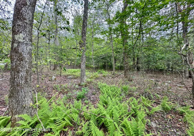 Photo 5 of Land for sale at Lot 56b June Dr, Tobyhanna, PA 18466 | MLS# PM-141346 | Listing updated on 2026-05-16