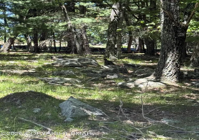 Homes for sale in Tafton, PA | Song Mountain Dr, Tafton, PA 18464 | MLS# PM-141931