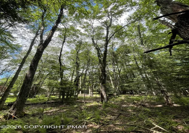 Homes for sale in Pocono Pines, PA | Pine Rd 67 Rd, Pocono Pines, PA 18350 | MLS# PM-142032