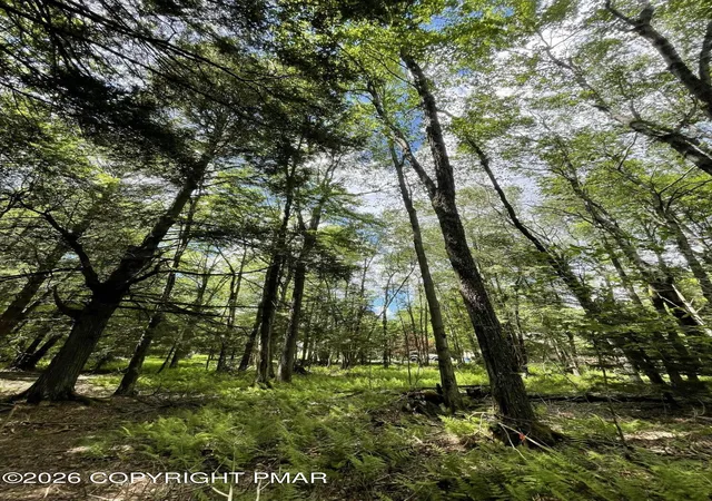 Homes for sale in Pocono Pines, PA | Pine Rd 67 Rd, Pocono Pines, PA 18350 | MLS# PM-142032