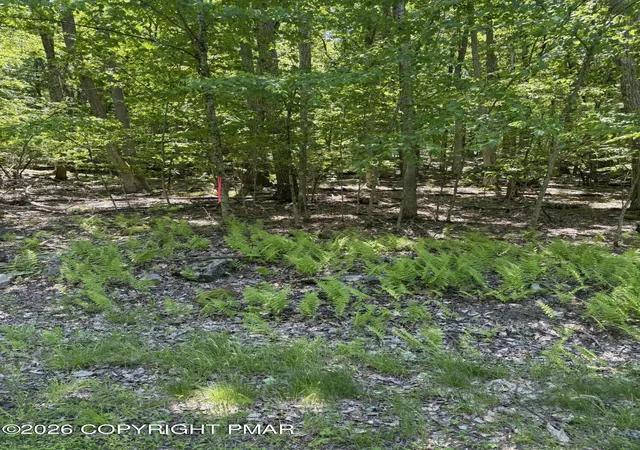 Homes for sale in Tafton, PA | Paper Birch N, Tafton, PA 18464 | MLS# PM-141930