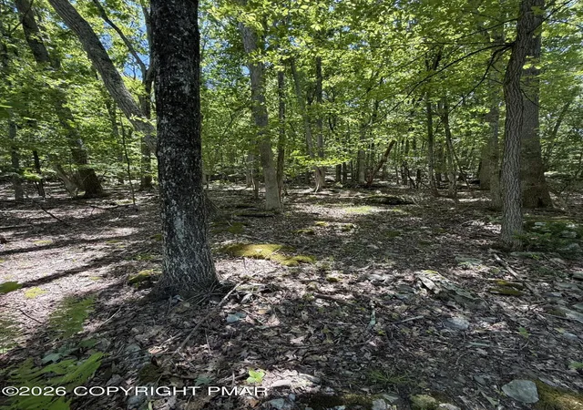 Homes for sale in Tafton, PA | Paper Birch N, Tafton, PA 18464 | MLS# PM-141930