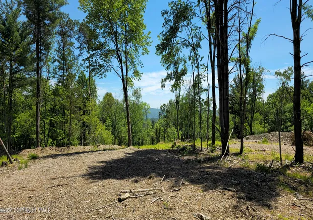 4th image of Lot 10 Sawmill Rd, Stroudsburg, PA 18360 | MLS# PM-142206