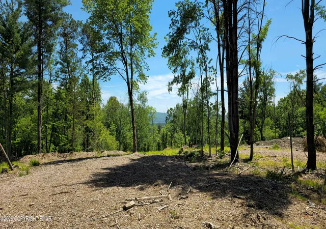 4th image of Lot 11 Sawmill Rd, Stroudsburg, PA 18360 | MLS# PM-142209