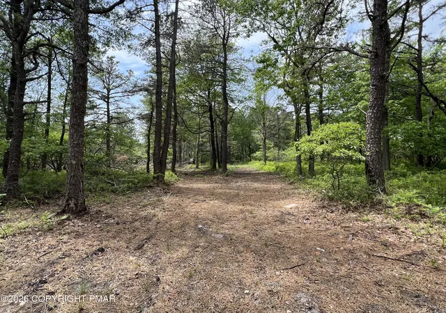 Homes for sale in Blakeslee, PA | 104 Windy Way 104 Way, Blakeslee, PA 18610 | MLS# PM-141970