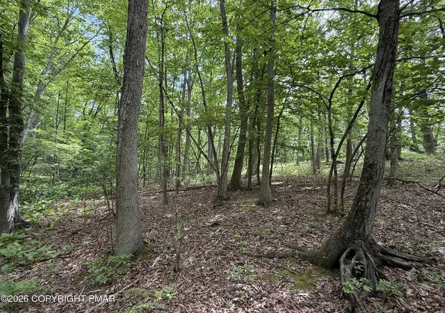 image of 199 Upper Lakeview Dr Dr, East Stroudsburg, PA 18302 | MLS# PM-142140