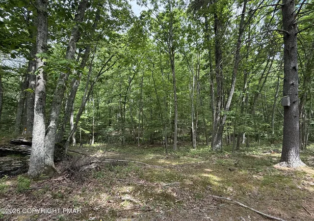 image of 199 Upper Lakeview Dr Dr, East Stroudsburg, PA 18302 | MLS# PM-142140
