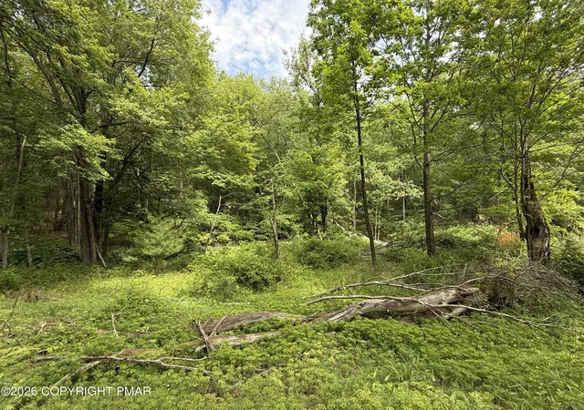 image of 199 Upper Lakeview Dr Dr, East Stroudsburg, PA 18302 | MLS# PM-142140