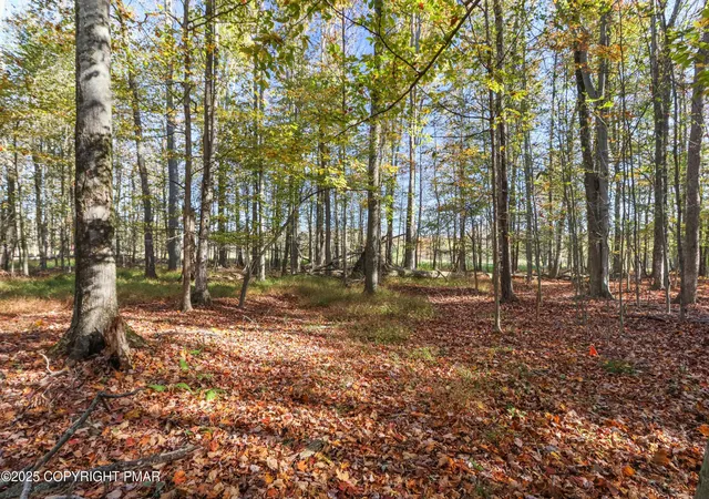 Photo 1 of Land for sale at Cygnus Rd, Lake Ariel, PA 18436 | MLS# PM-142179 | Listing updated on 2026-06-14