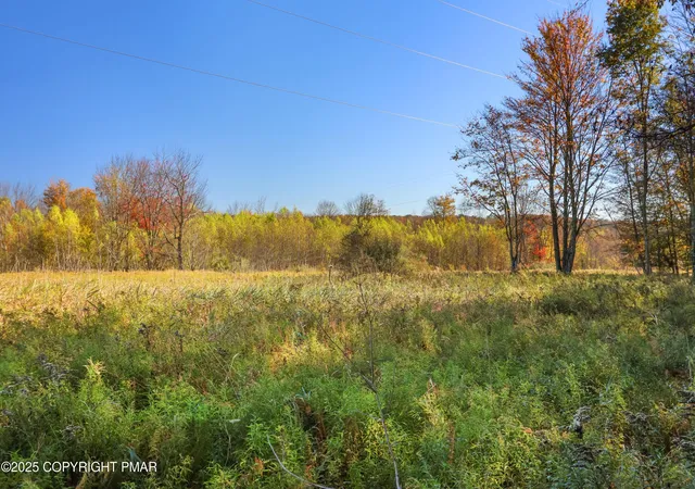 Photo 3 of Land for sale at Cygnus Rd, Lake Ariel, PA 18436 | MLS# PM-142179 | Listing updated on 2026-06-14
