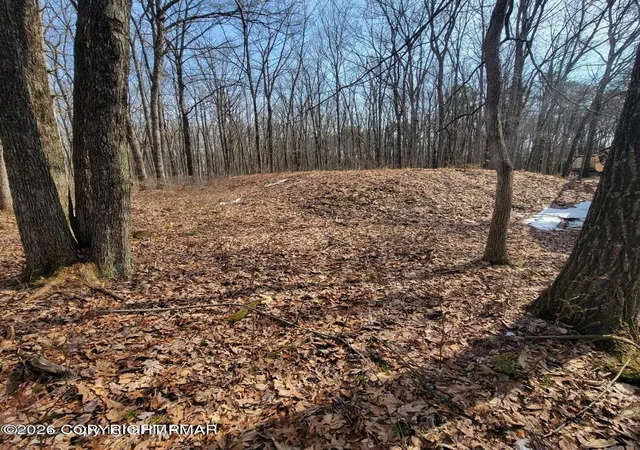 Photo 8 of Land for sale at 479 Jonas Rd, Effort, PA 18330 | MLS# PM-142181 | Listing updated on 2026-06-14