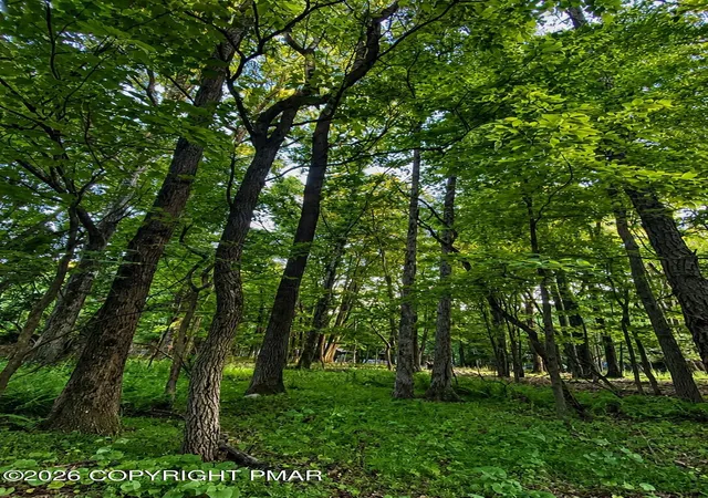 Photo 1 of Land for sale at 383 Johns Rd, Effort, PA 18330 | MLS# PM-142729 | Listing updated on 2026-07-03