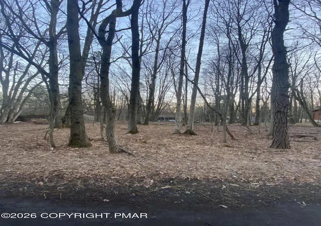 Photo 2 of Land for sale at 383 Johns Rd, Effort, PA 18330 | MLS# PM-142729 | Listing updated on 2026-07-03