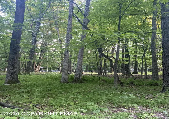 Photo 4 of Land for sale at 383 Johns Rd, Effort, PA 18330 | MLS# PM-142729 | Listing updated on 2026-07-03