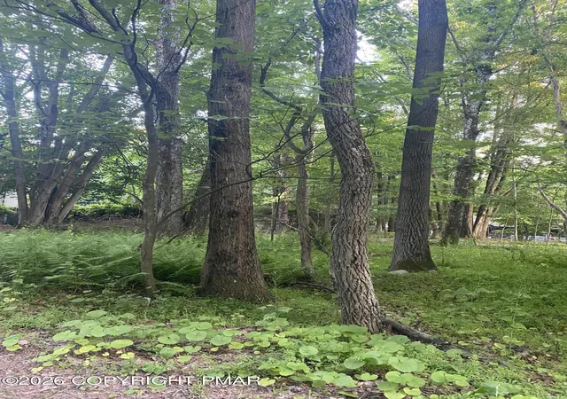 Photo 5 of Land for sale at 383 Johns Rd, Effort, PA 18330 | MLS# PM-142729 | Listing updated on 2026-07-03
