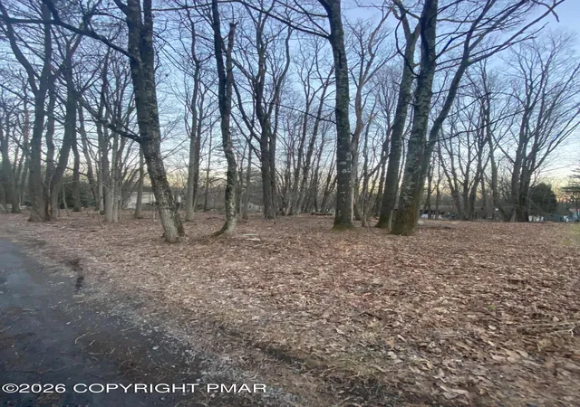 Photo 8 of Land for sale at 383 Johns Rd, Effort, PA 18330 | MLS# PM-142729 | Listing updated on 2026-07-03