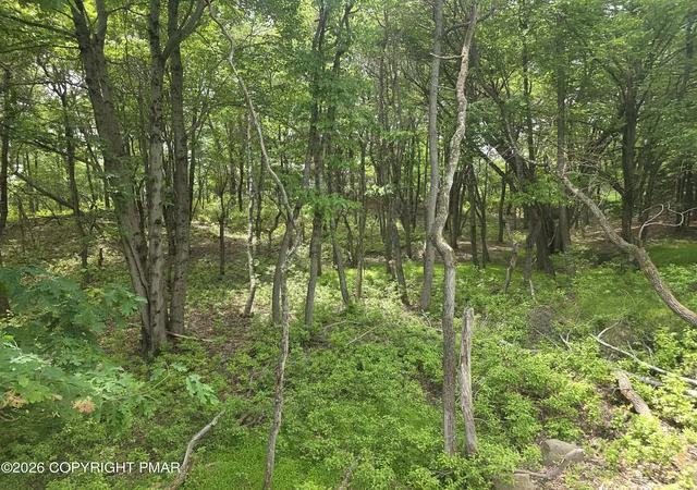 Homes for sale in Long Pond, PA | 702 Clearview Ct E, Long Pond, PA 18334 | MLS# PM-142235