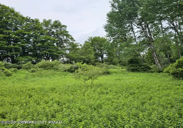 Homes for sale in Newfoundland, PA | 45 Lake Russell Rd, Newfoundland, PA 18445 | MLS# PM-142249
