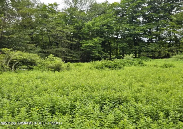 Homes for sale in Newfoundland, PA | 45 Lake Russell Rd, Newfoundland, PA 18445 | MLS# PM-142249