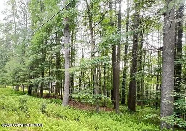 Photo 2 of Land for sale at 00 Cranberry Dr, Bushkill, PA 18324 | MLS# PM-142266 | Listing updated on 2026-07-31