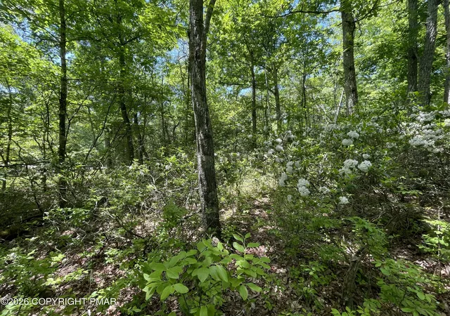 Homes for sale in Cresco, PA | Aspen Ct 808 Ct, Cresco, PA 18326 | MLS# PM-142291