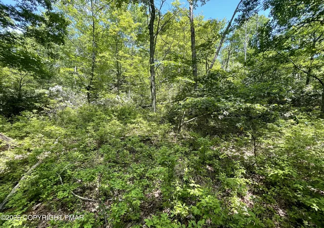 Homes for sale in Cresco, PA | Aspen Ct 808 Ct, Cresco, PA 18326 | MLS# PM-142291