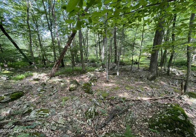 Homes for sale in Cresco, PA | 240 Mud Run Rd, Cresco, PA 18326 | MLS# PM-142346
