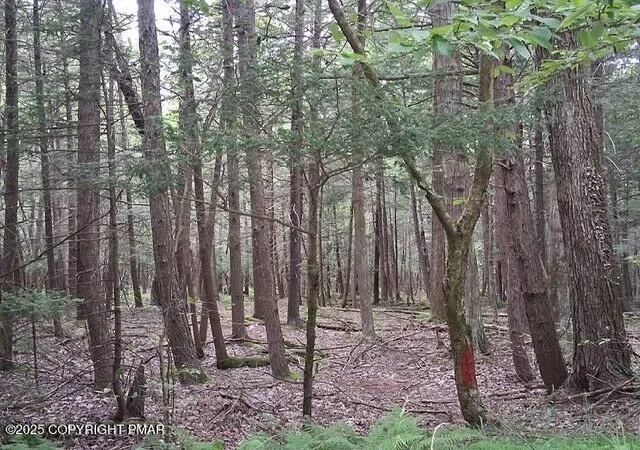 Homes for sale in Pocono Lake, PA | 18 Robyn Ln, Pocono Lake, PA 18347 | MLS# PM-142372