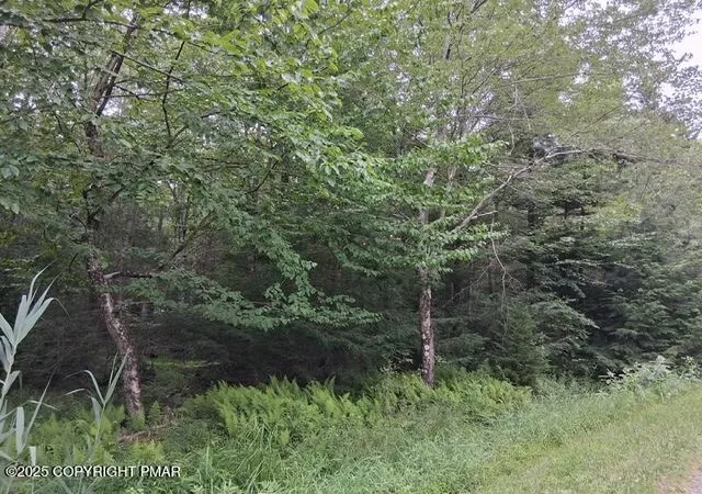 Homes for sale in Pocono Lake, PA | 18 Robyn Ln, Pocono Lake, PA 18347 | MLS# PM-142372