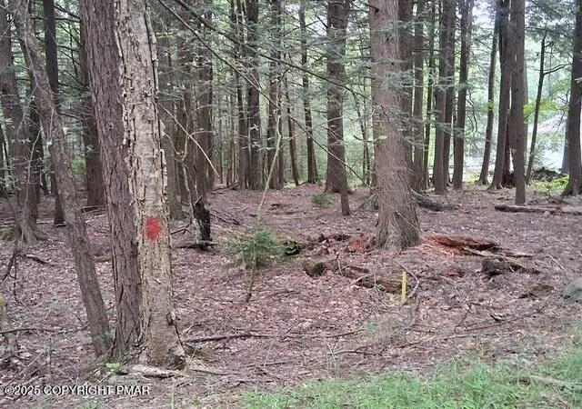 Homes for sale in Pocono Lake, PA | 18 Robyn Ln, Pocono Lake, PA 18347 | MLS# PM-142372