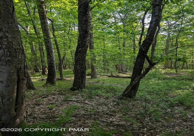 Homes for sale in Milford, PA | Acorn Ln/meadow Ridge Acres Rd, Milford, PA 18337 | MLS# PM-142399
